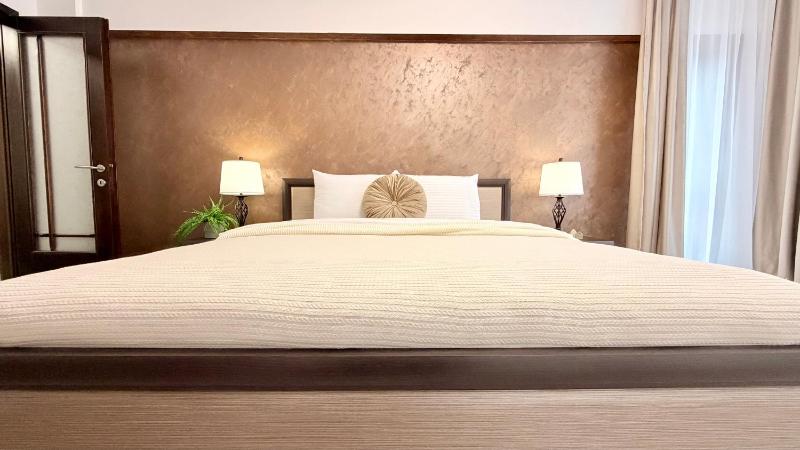 Spacious 2BR Steps from the Palace of Parliament - Walk Everywhere - image 4
