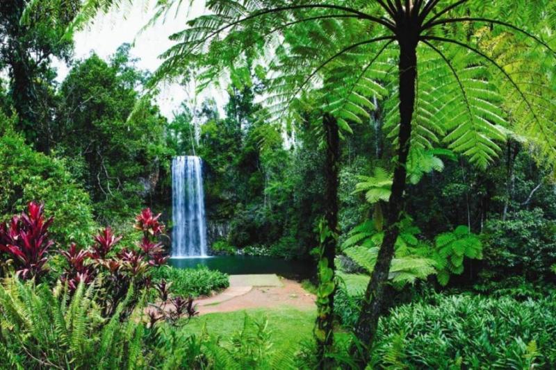 Villa Escape Port Douglas - image 16