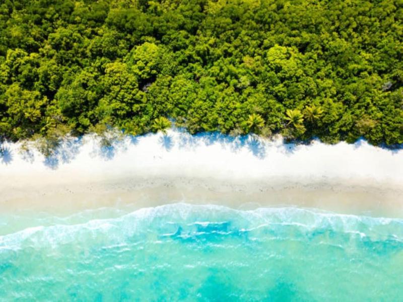 Villa Escape Port Douglas - image 35