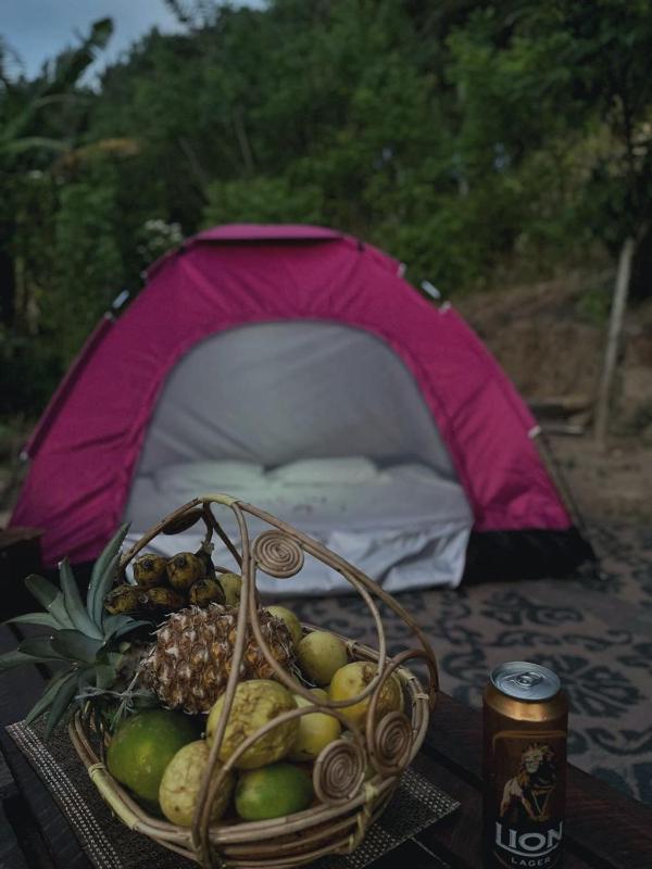 Cindrella Sky Nest Camp Ella - image 3