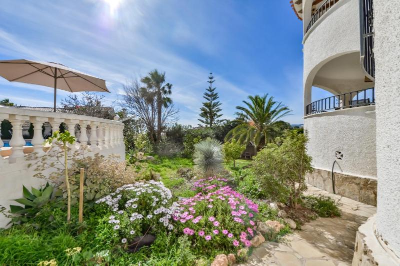 AT363 Buenavista - image 3