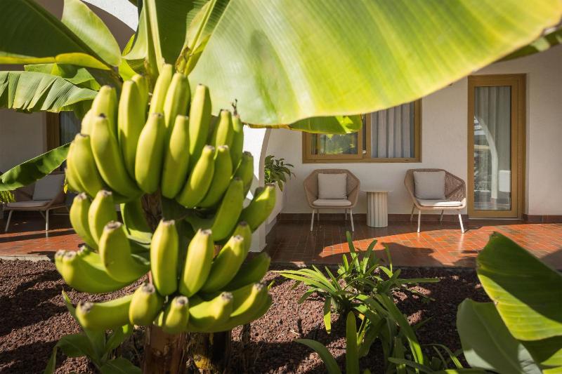Radisson Resort & Residences Tenerife - Adults Only - image 25