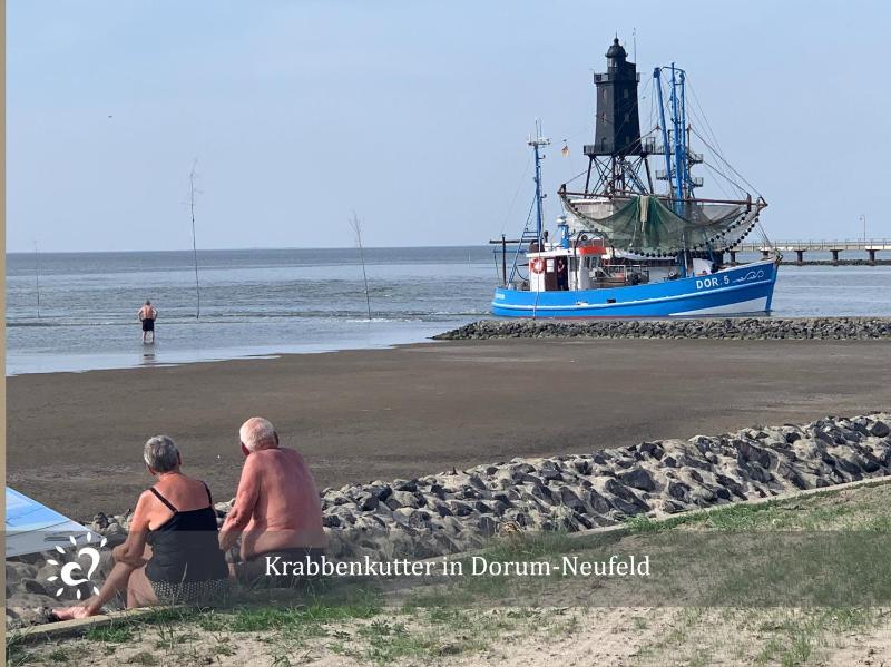De Swolk Nordseeblick vom Balkon - image 8