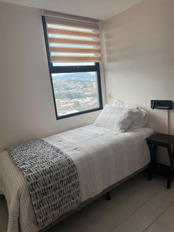 Executive apartment-urban style - image 14