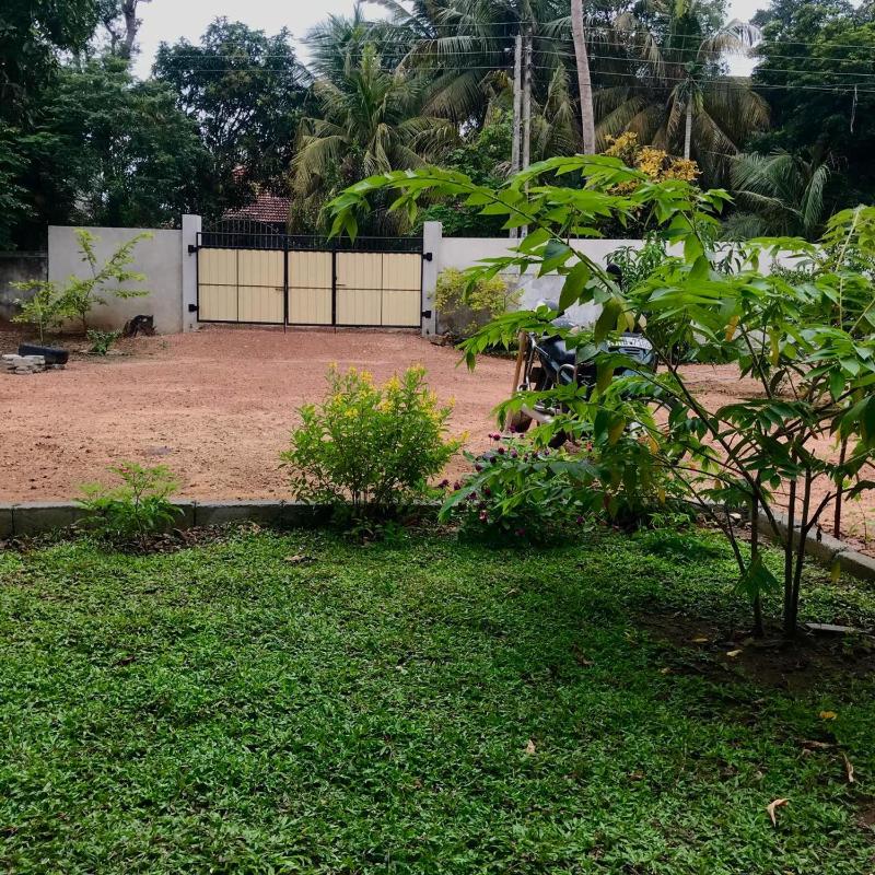 Amelia Villa - image 11