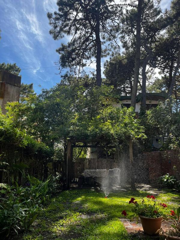 Duplex in the woods with private garden - image 20
