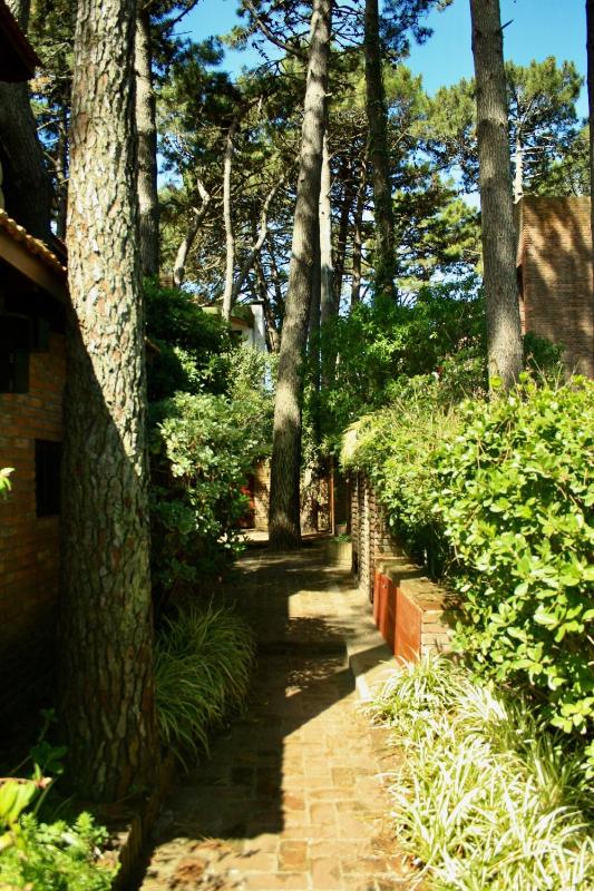 Duplex in the woods with private garden - image 22