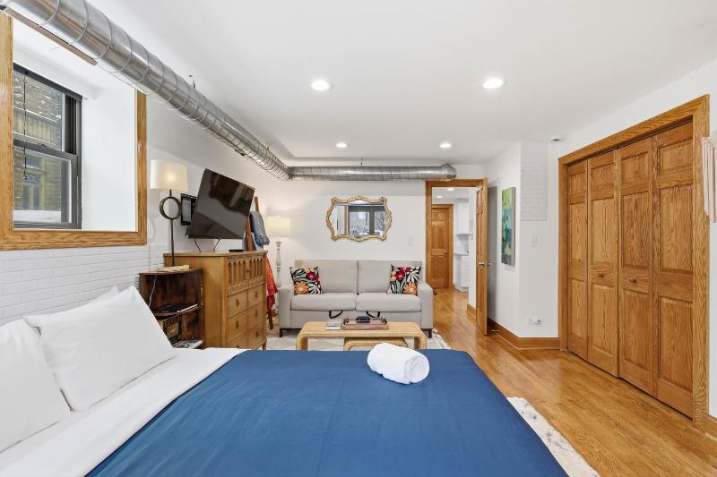 Fully Updated Jr 1 Bed Steps from Lincoln Park condo - image 5
