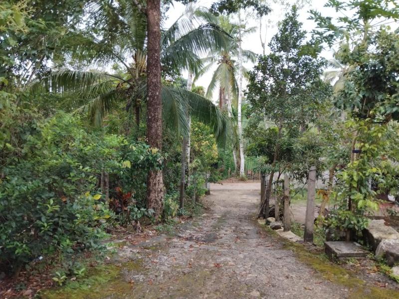 Jayawila Holiday Home - image 12