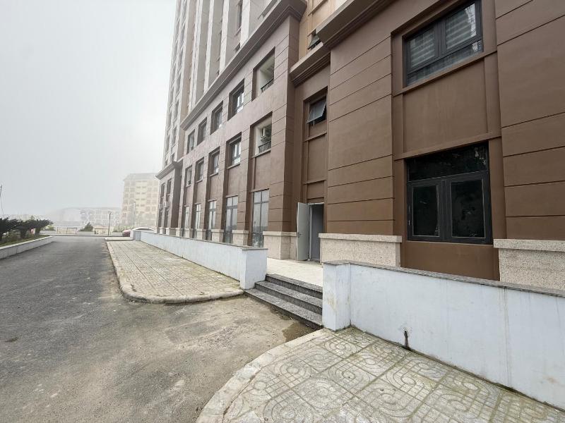 Irista Hill - image 20