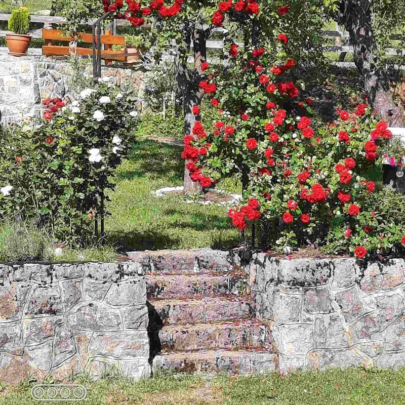 Domacinstvo Majovac - image 5