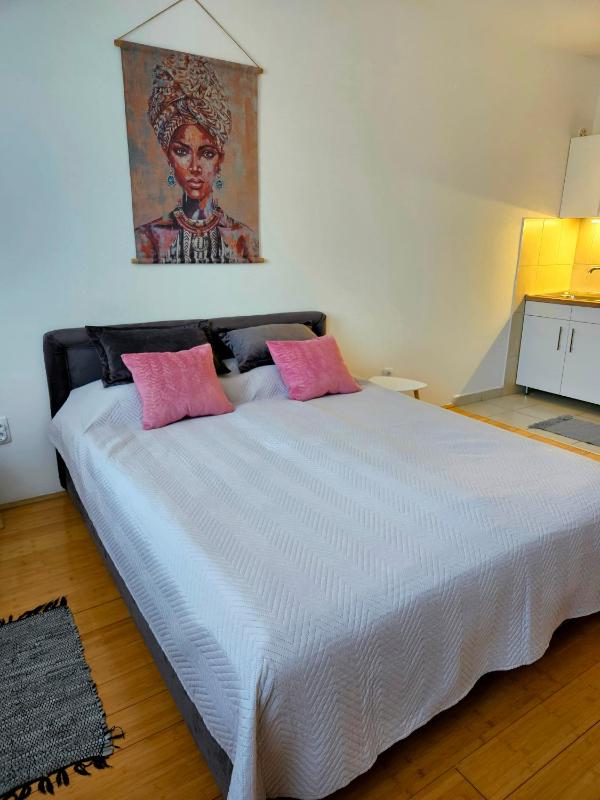 APARTMAN 64 - Besplatan JAVNI PARKING - image 10