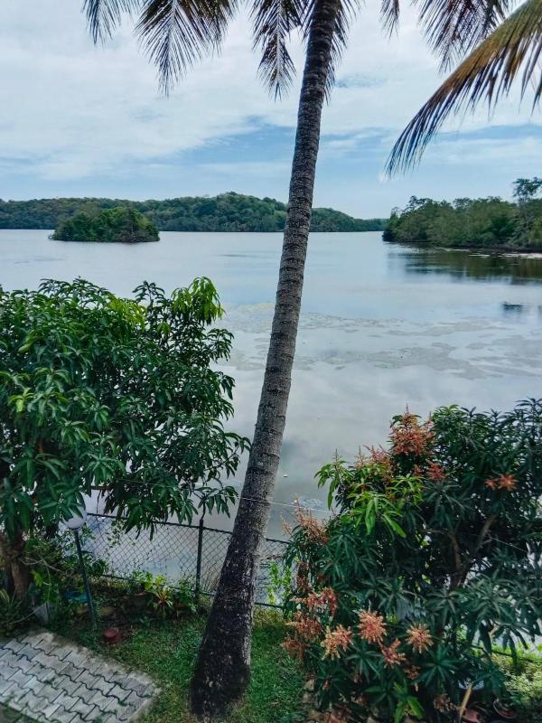Lagoon Stay - image 4