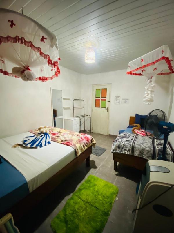 Tunnel Gap Homestay - image 16