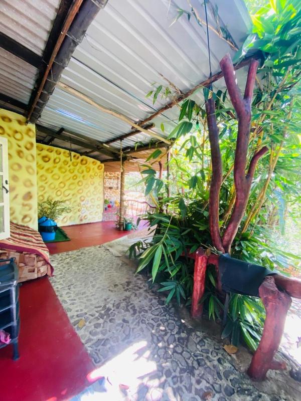 Tunnel Gap Homestay - image 13