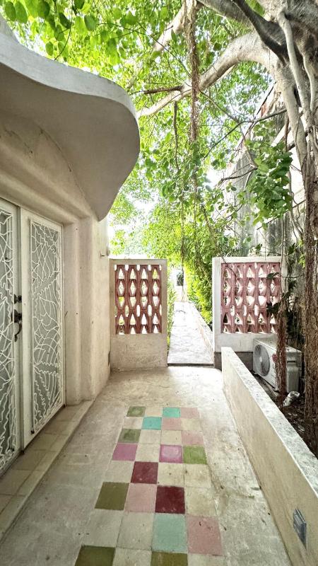 Calle Ouvert - image 11