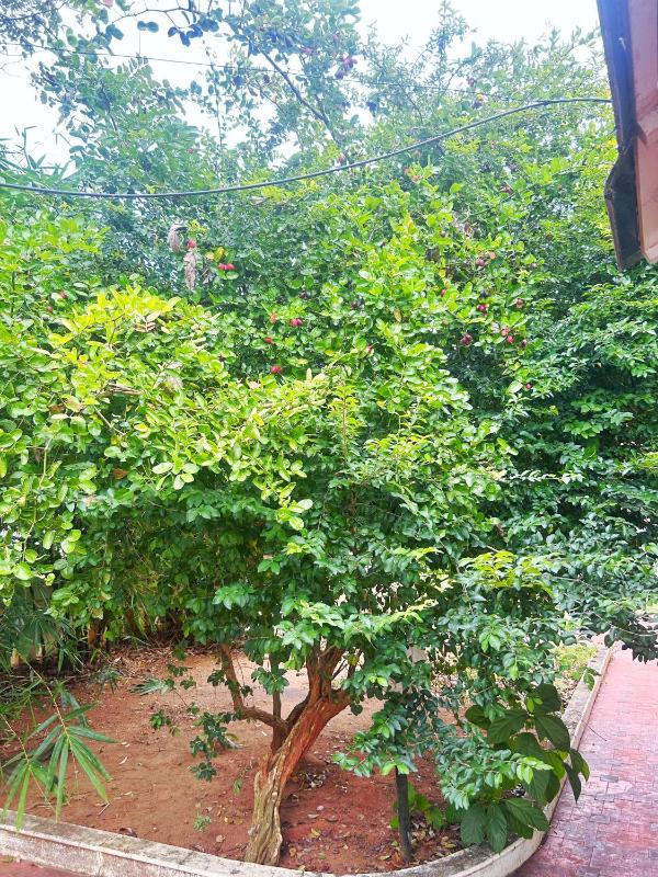 Citadel Luxury Villa Trivandrum-Just 10 min to Railway Station & 5 Min to Sri Padmanabha Swamy Temple Home away from Home in Kerala - image 25