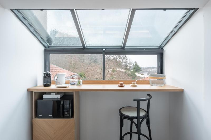 Le Petit Canut - T1 sous les toits avec vue - image 10