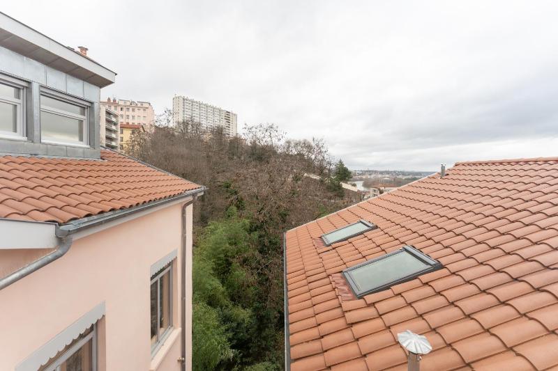 Le Petit Canut - T1 sous les toits avec vue - image 12