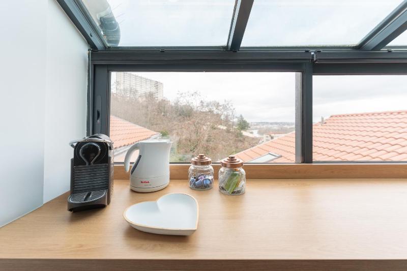 Le Petit Canut - T1 sous les toits avec vue - image 15