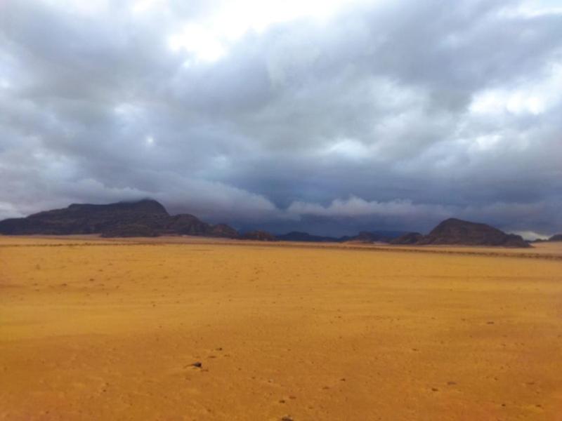 Wadi rum trips - image 12
