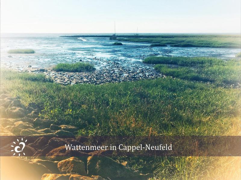De Wittling Nordseeglück direkt am Deich &Hund willkommen - image 14