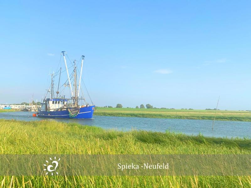 De Wittling Nordseeglück direkt am Deich &Hund willkommen - image 18
