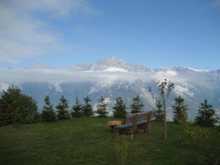 Chalet with Garden image 3