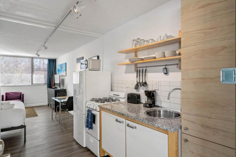 BCA Furnished Apartments Studio - image 49