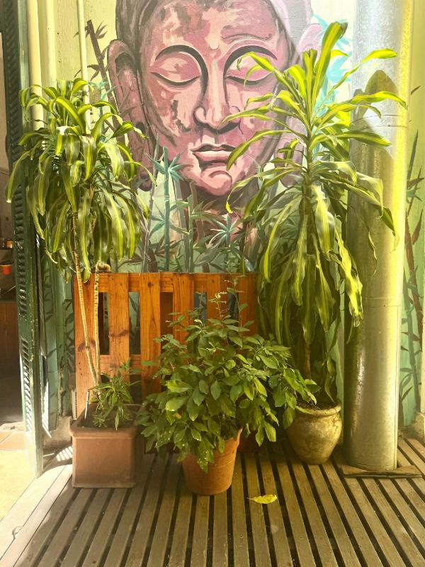 Freedom Hostel - image 42