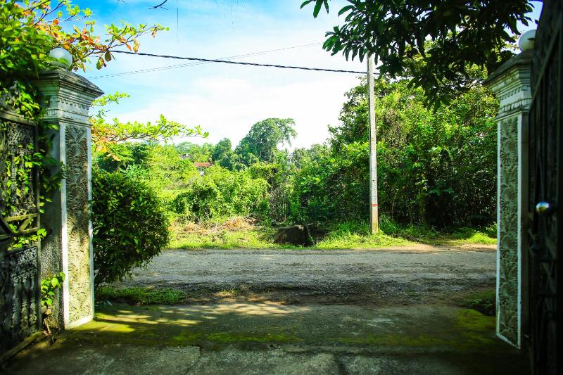 Ran Dam Villa - image 6