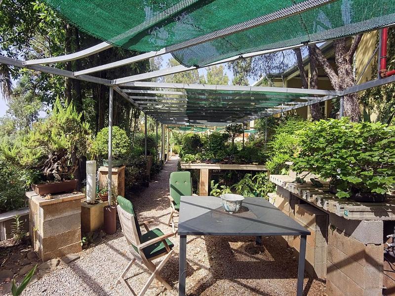 Apart-Hotel Quinta das Eirinhas-Jardim de Bonsai - image 20