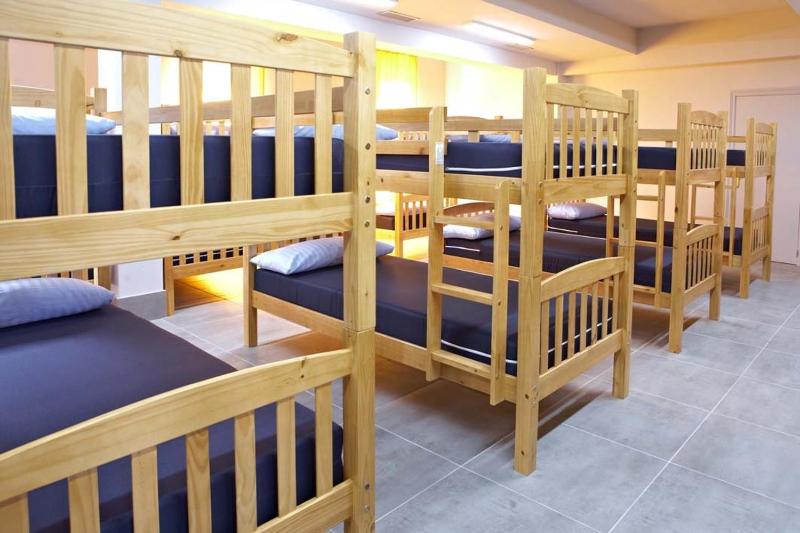Bed in Mixed Dormitory Room image 2