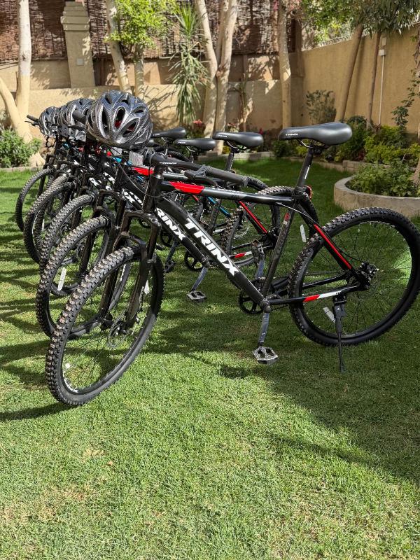 Solima pyramids inn - image 2