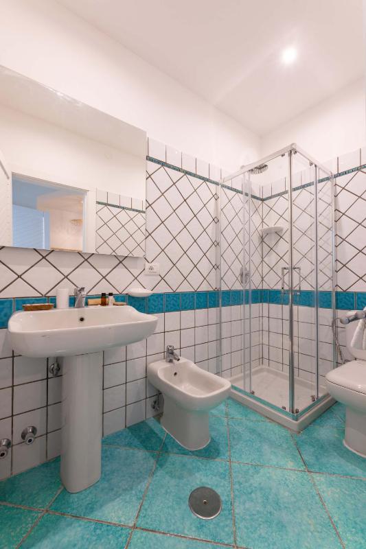 AMORE RENTALS - Villa La Torre - image 15