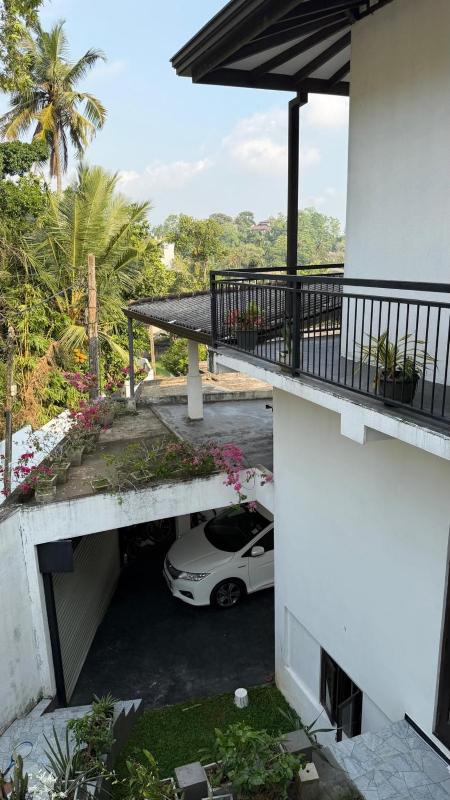 White House Galle - image 14