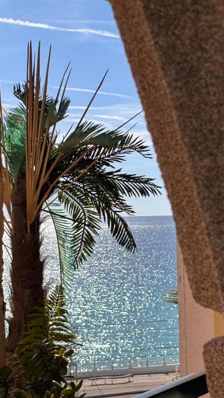 La Palme d'Azur - Cannes - image 16