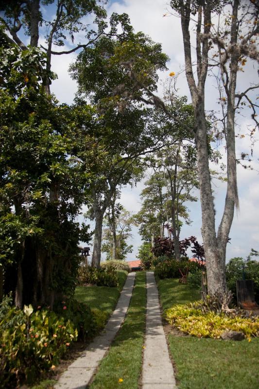 Finca Hotel Los Girasoles - image 13