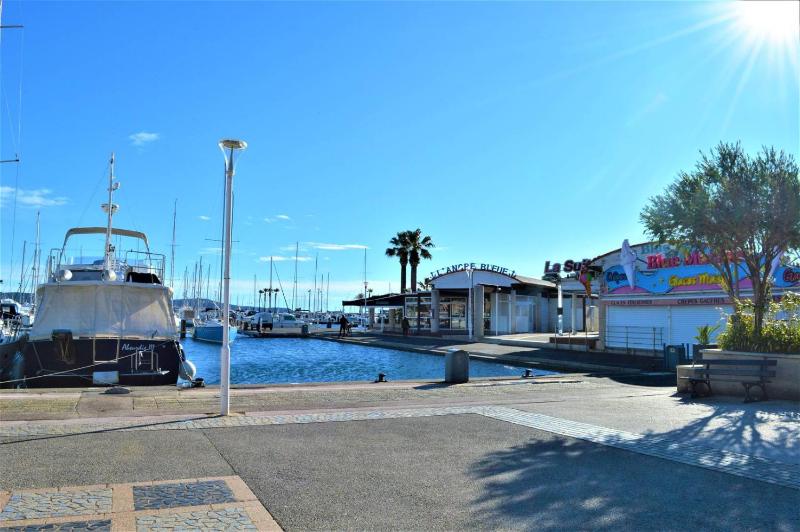 CA790-425 APPARTEMENT 2 PIÈCES POUR 4 Personnes À CAVALAIRE SUR MER - image 8