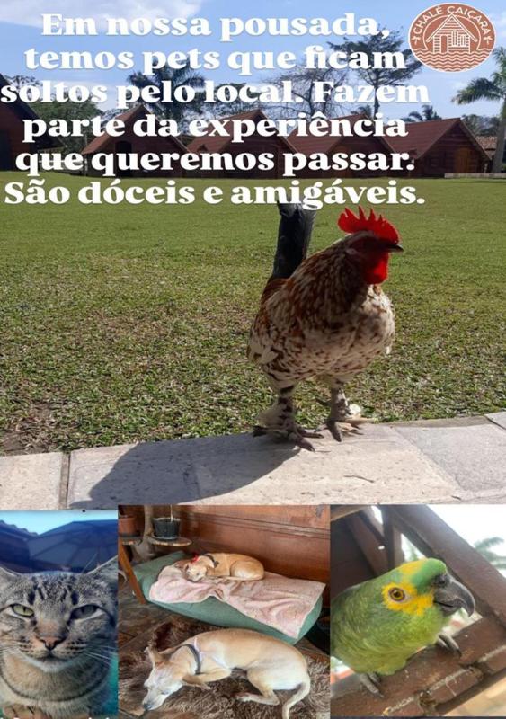 Chalé Caiçara - image 42