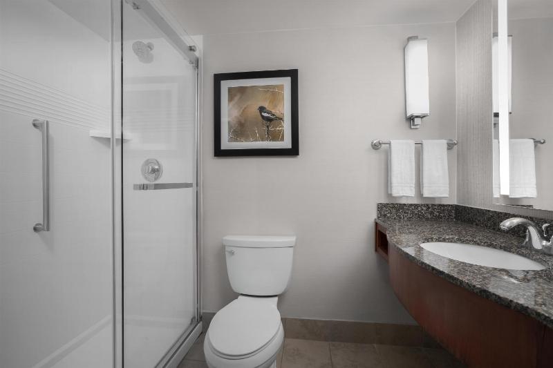 Hilton Garden Inn Denver Downtown - image 15
