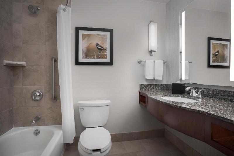 Hilton Garden Inn Denver Downtown - image 40
