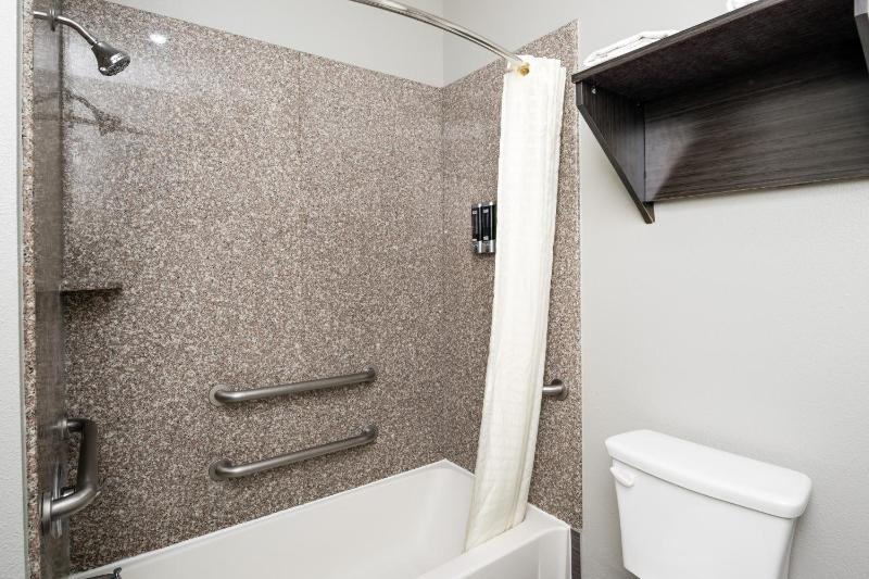 Moonlight Suites - Houston/George Bush Int'l Airport - image 4