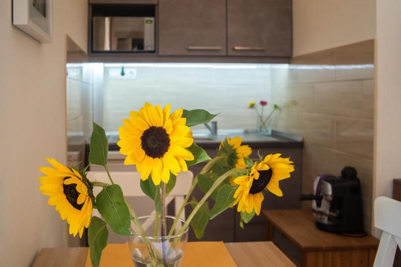 Studio Apartment image 2