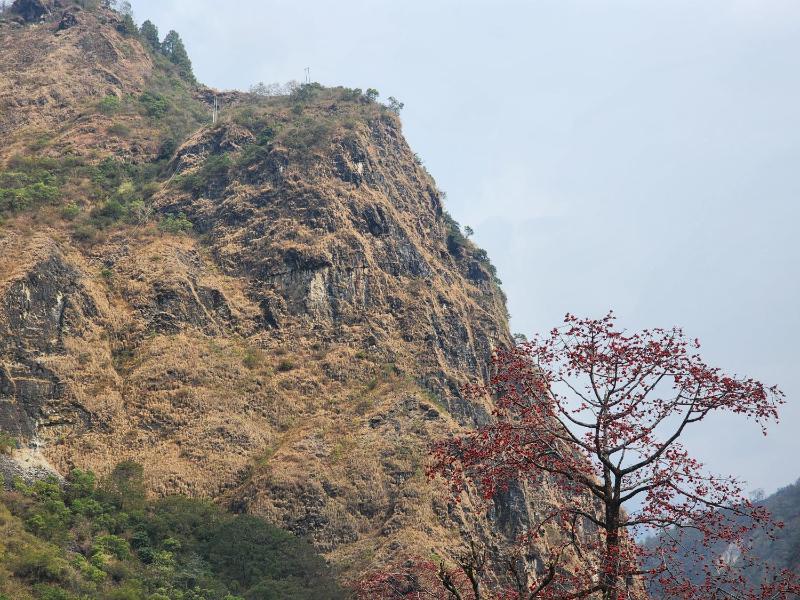Godblessing - image 5
