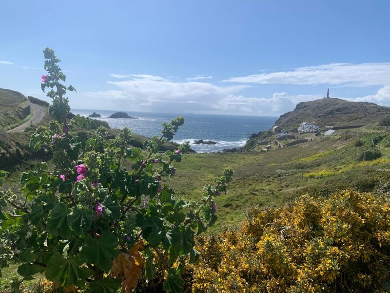 Cape View - image 3