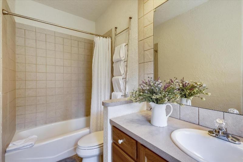 Evergreen Lodge: Secluded Breck Ski Home Private Hot Tub Fireplace Forest & Mtn Views! - image 42