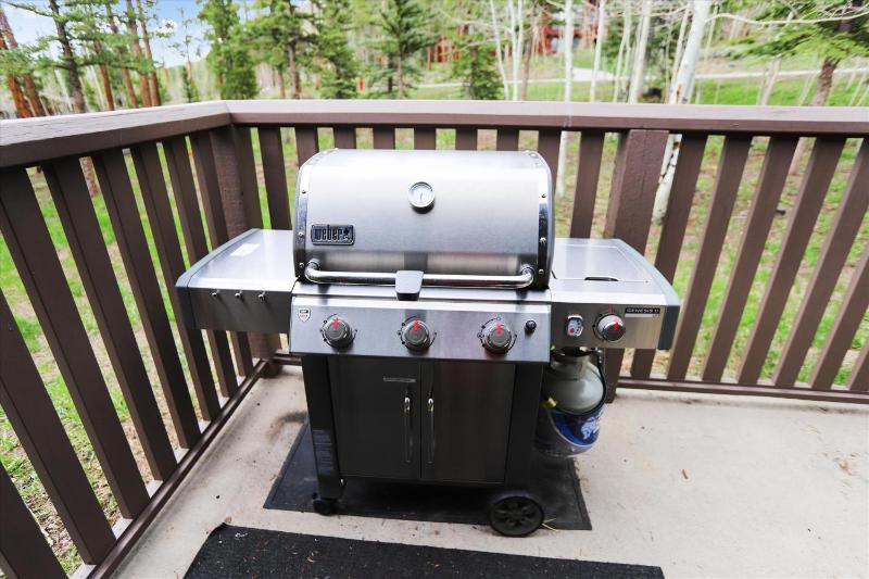 Evergreen Lodge: Secluded Breck Ski Home Private Hot Tub Fireplace Forest & Mtn Views! - image 8