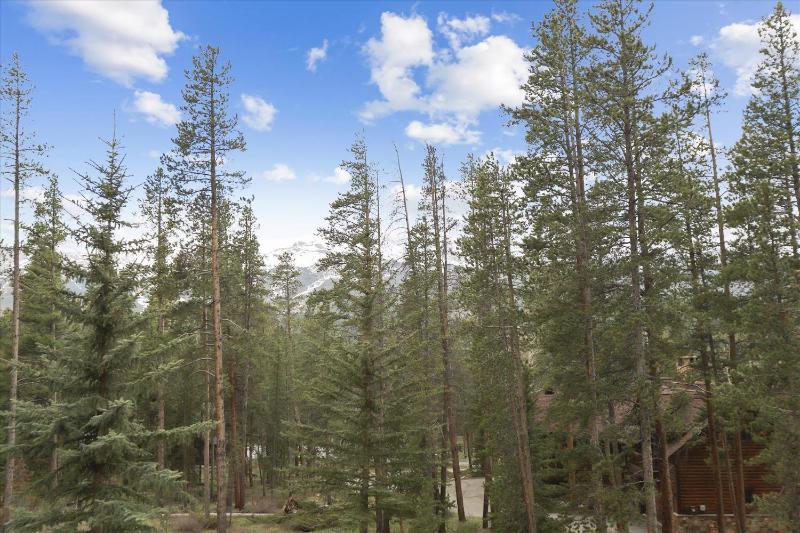 Evergreen Lodge: Secluded Breck Ski Home Private Hot Tub Fireplace Forest & Mtn Views! - image 7