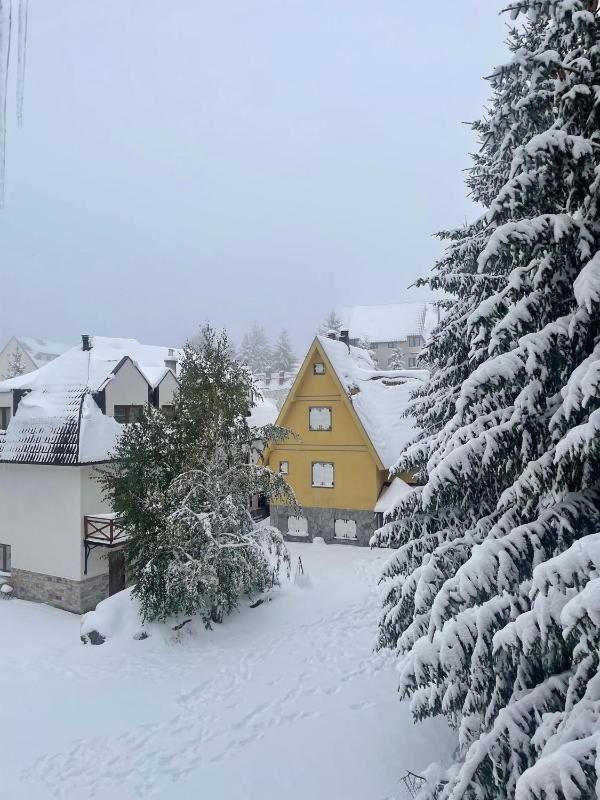 Cozy Lodge Kopaonik - image 14